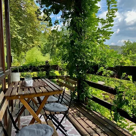 Gaestehaus Auf Tollem Anwesen * Neubulach
